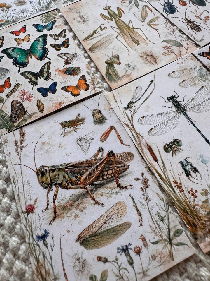 Vintage Entomology Stickers Set of 16, Butterfly & Insect Watercolor Stickers, Nature Junk Journal, Handmade in the UK Decor