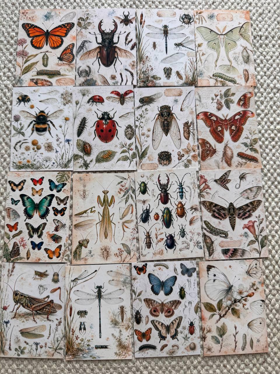 Vintage Entomology Stickers Set of 16, Butterfly & Insect Watercolor Stickers, Nature Junk Journal, Handmade in the UK Decor