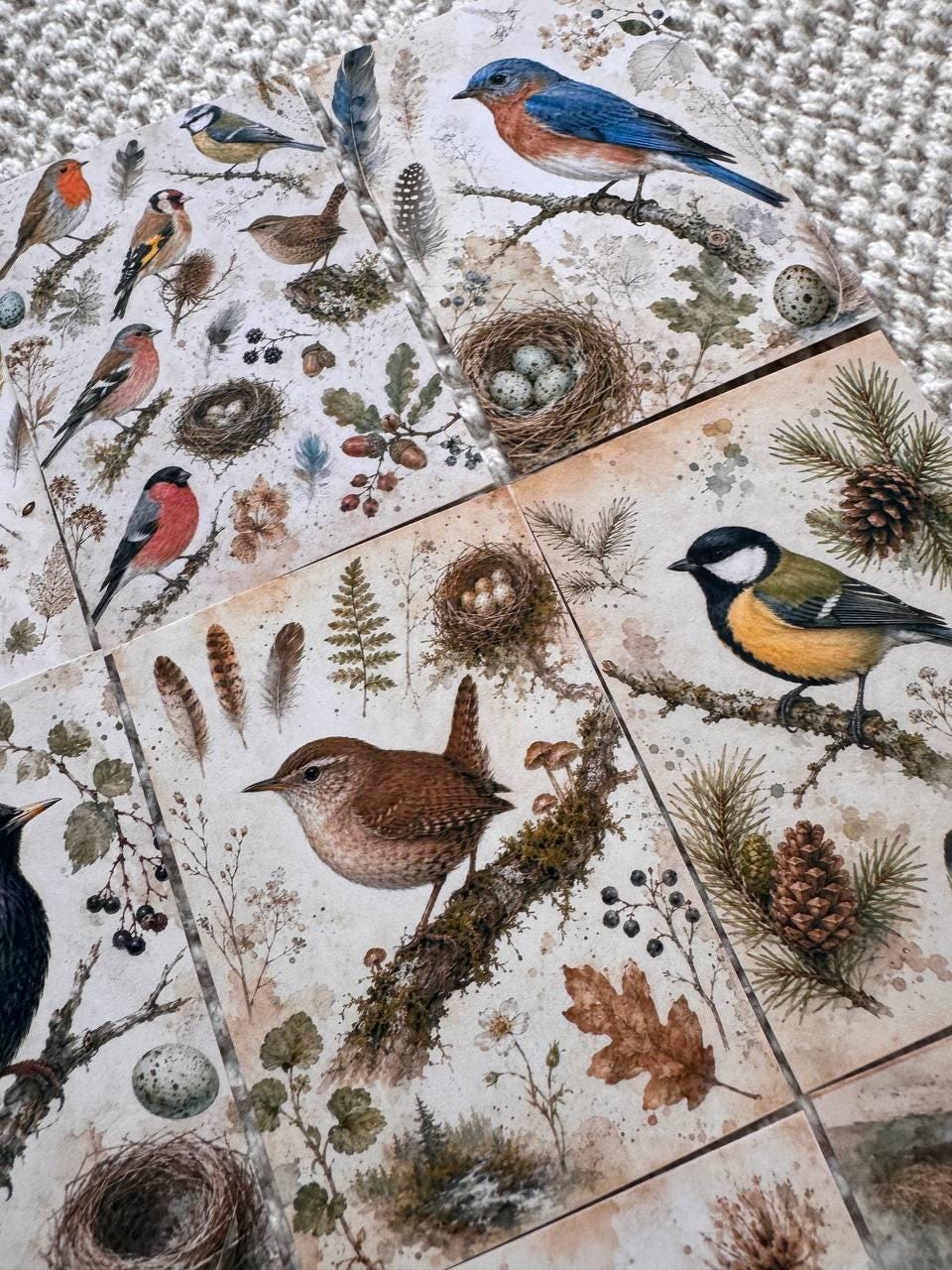 Vintage Bird Stickers Set of 16, British Garden Birds Watercolor Stickers, Nature Junk Journal, Handmade in the UK Decor Gift