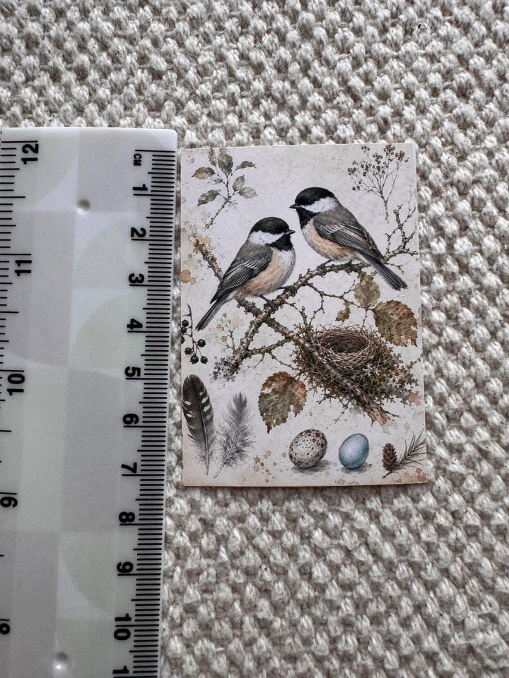 Vintage Bird Stickers Set of 16, British Garden Birds Watercolor Stickers, Nature Junk Journal, Handmade in the UK Decor Gift