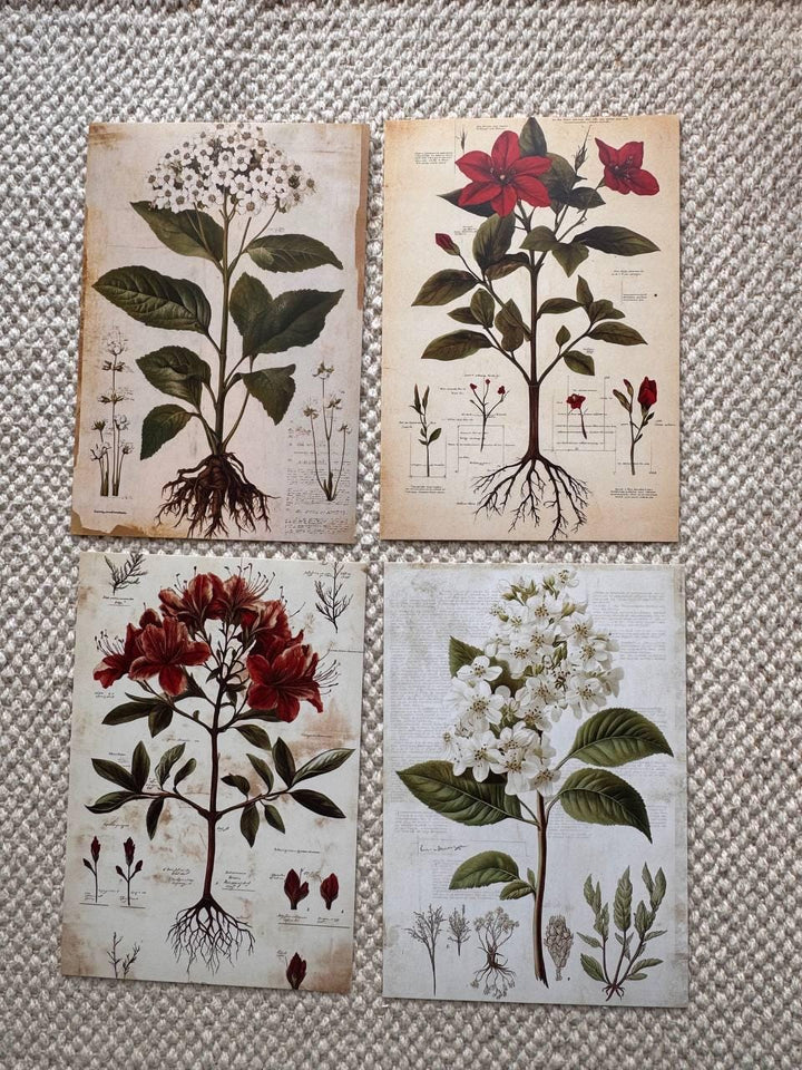 Set of 20, Vintage Botanical Postcard , Botanical Ephemera Cards, Junk Journal Supplies, Nature Collage Cards