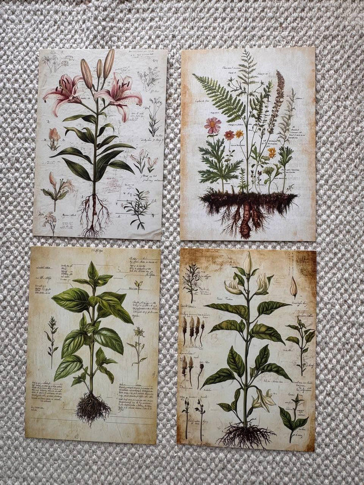 Set of 20, Vintage Botanical Postcard , Botanical Ephemera Cards, Junk Journal Supplies, Nature Collage Cards