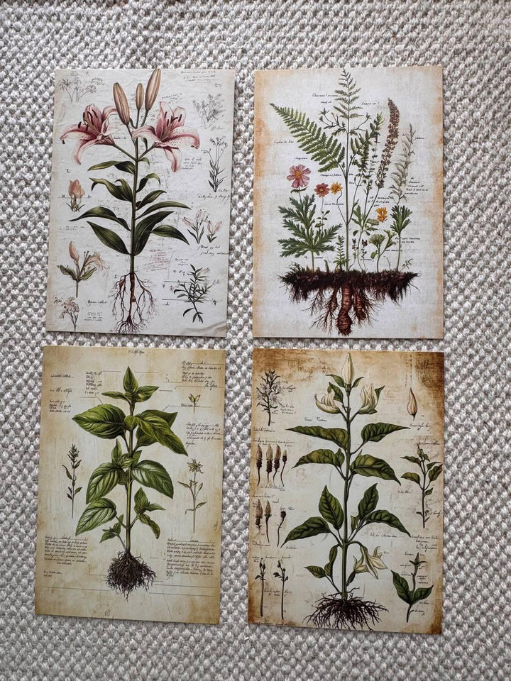 Set of 20, Vintage Botanical Postcard , Botanical Ephemera Cards, Junk Journal Supplies, Nature Collage Cards