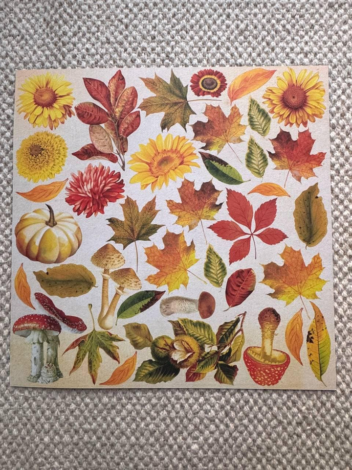 Bright Autumn Scrapbook Paper 8x8, Double Sided Autumn Paper, Fall Botanical Junk Journal Card Making Supplies