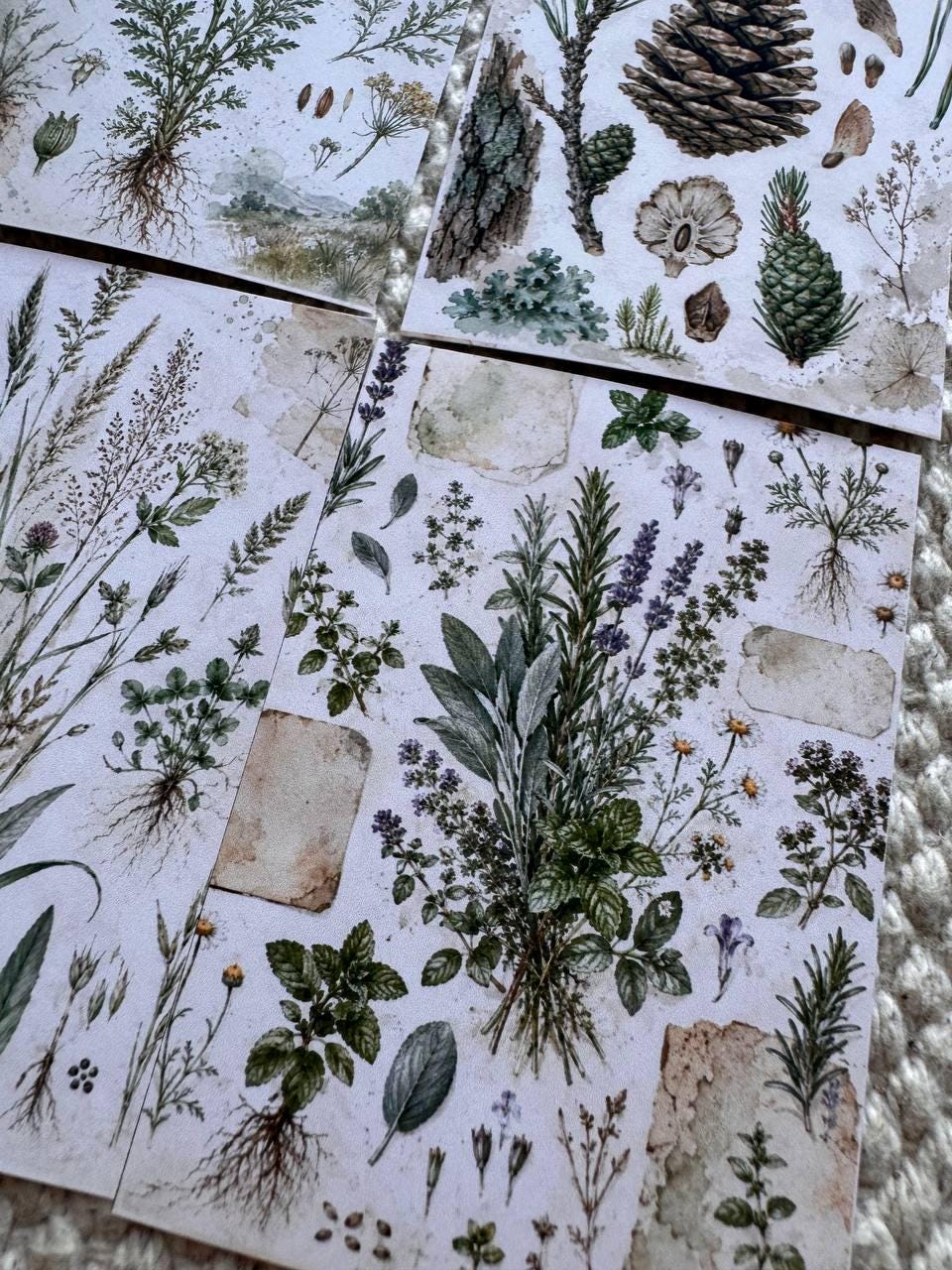 Vintage Botanical Herb Stickers Set of 16, Herbarium Watercolor Stickers, Nature Journal, Junk Journal, Handmade in the UK Decor