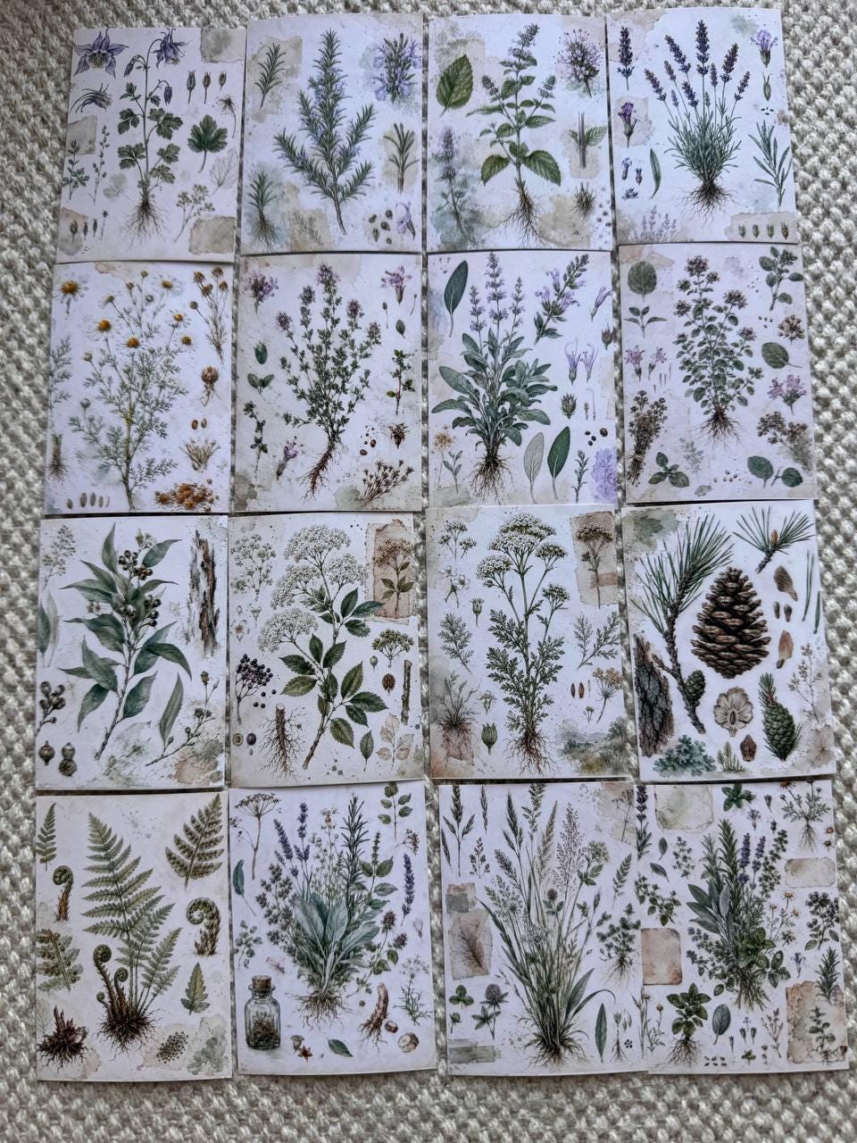 Vintage Botanical Herb Stickers Set of 16, Herbarium Watercolor Stickers, Nature Journal, Junk Journal, Handmade in the UK Decor