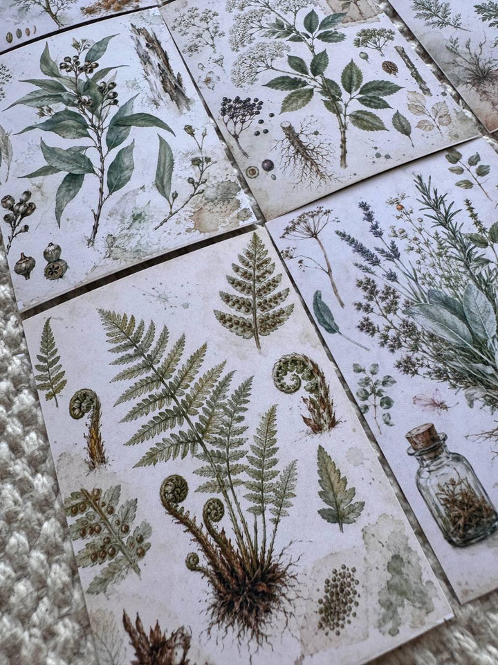 Vintage Botanical Herb Stickers Set of 16, Herbarium Watercolor Stickers, Nature Journal, Junk Journal, Handmade in the UK Decor