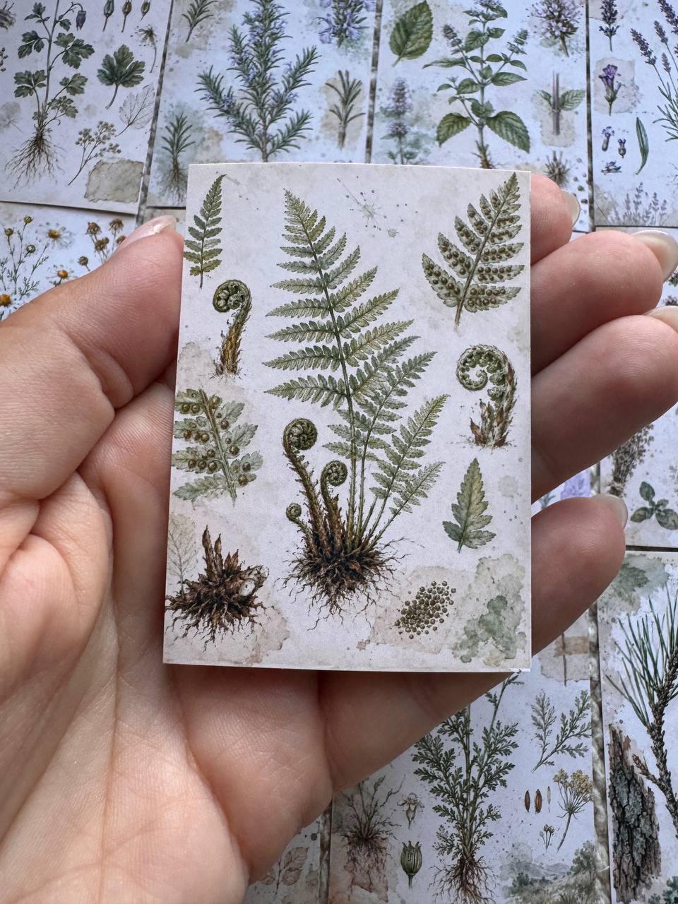 Vintage Botanical Herb Stickers Set of 16, Herbarium Watercolor Stickers, Nature Journal, Junk Journal, Handmade in the UK Decor