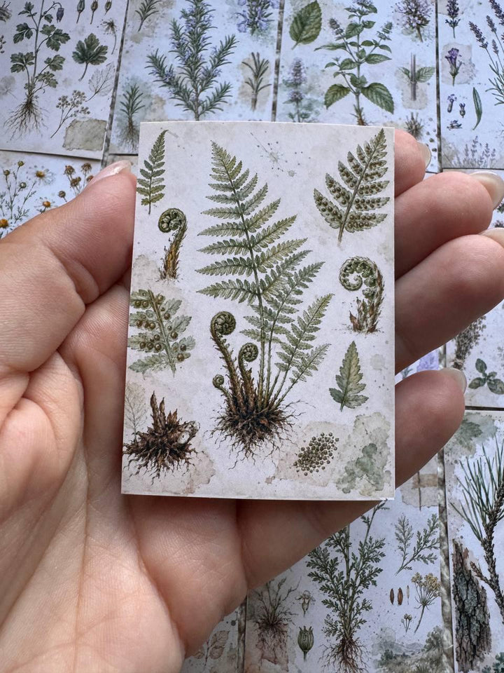 Vintage Botanical Herb Stickers Set of 16, Herbarium Watercolor Stickers, Nature Journal, Junk Journal, Handmade in the UK Decor