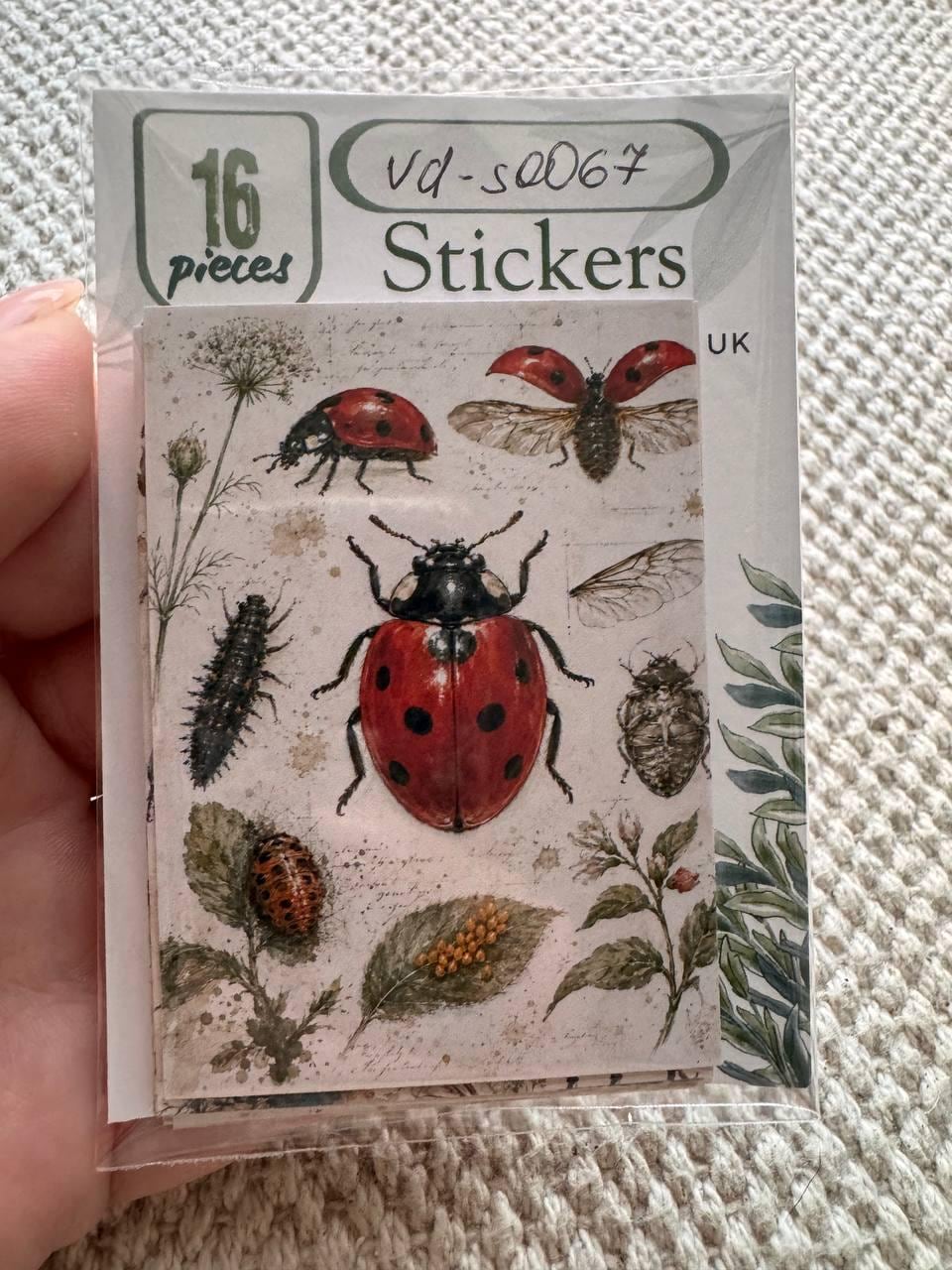 Vintage Entomology Stickers Set of 16, Butterfly & Insect Watercolor Stickers, Nature Junk Journal, Handmade in the UK Decor