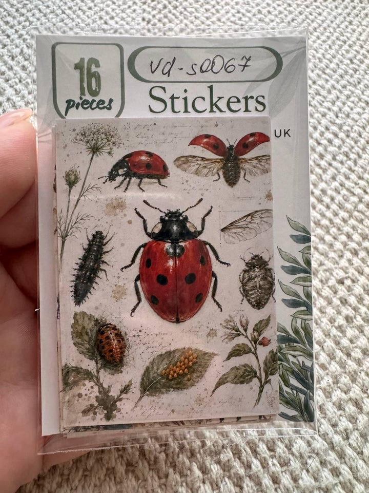 Vintage Entomology Stickers Set of 16, Butterfly & Insect Watercolor Stickers, Nature Junk Journal, Handmade in the UK Decor