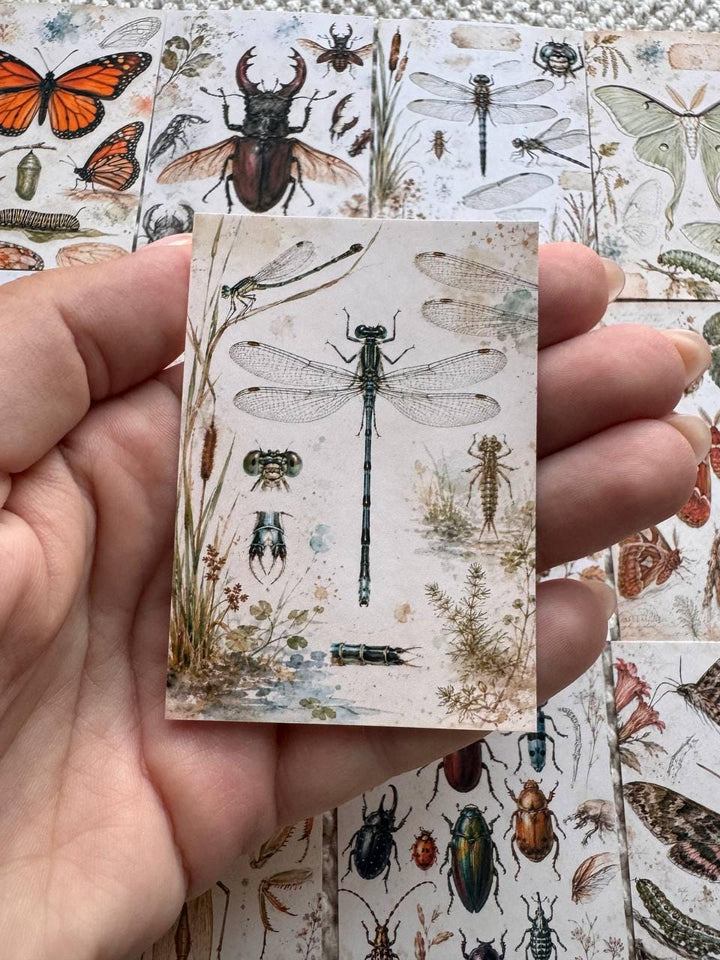 Vintage Entomology Stickers Set of 16, Butterfly & Insect Watercolor Stickers, Nature Junk Journal, Handmade in the UK Decor