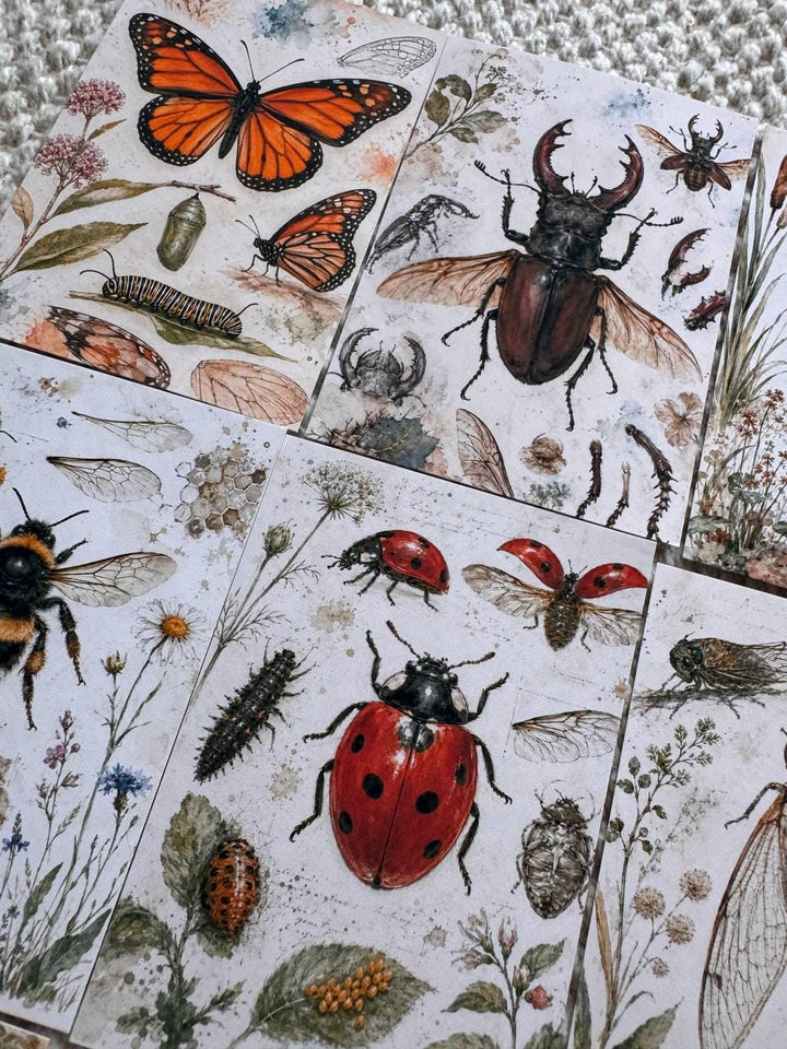 Vintage Entomology Stickers Set of 16, Butterfly & Insect Watercolor Stickers, Nature Junk Journal, Handmade in the UK Decor