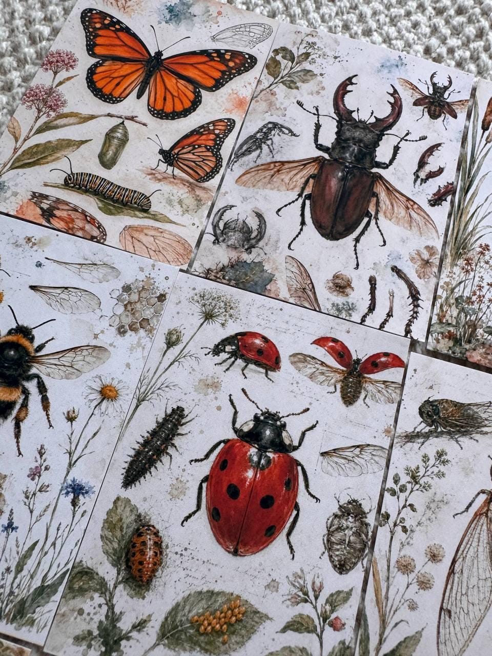 Vintage Entomology Stickers Set of 16, Butterfly & Insect Watercolor Stickers, Nature Junk Journal, Handmade in the UK Decor