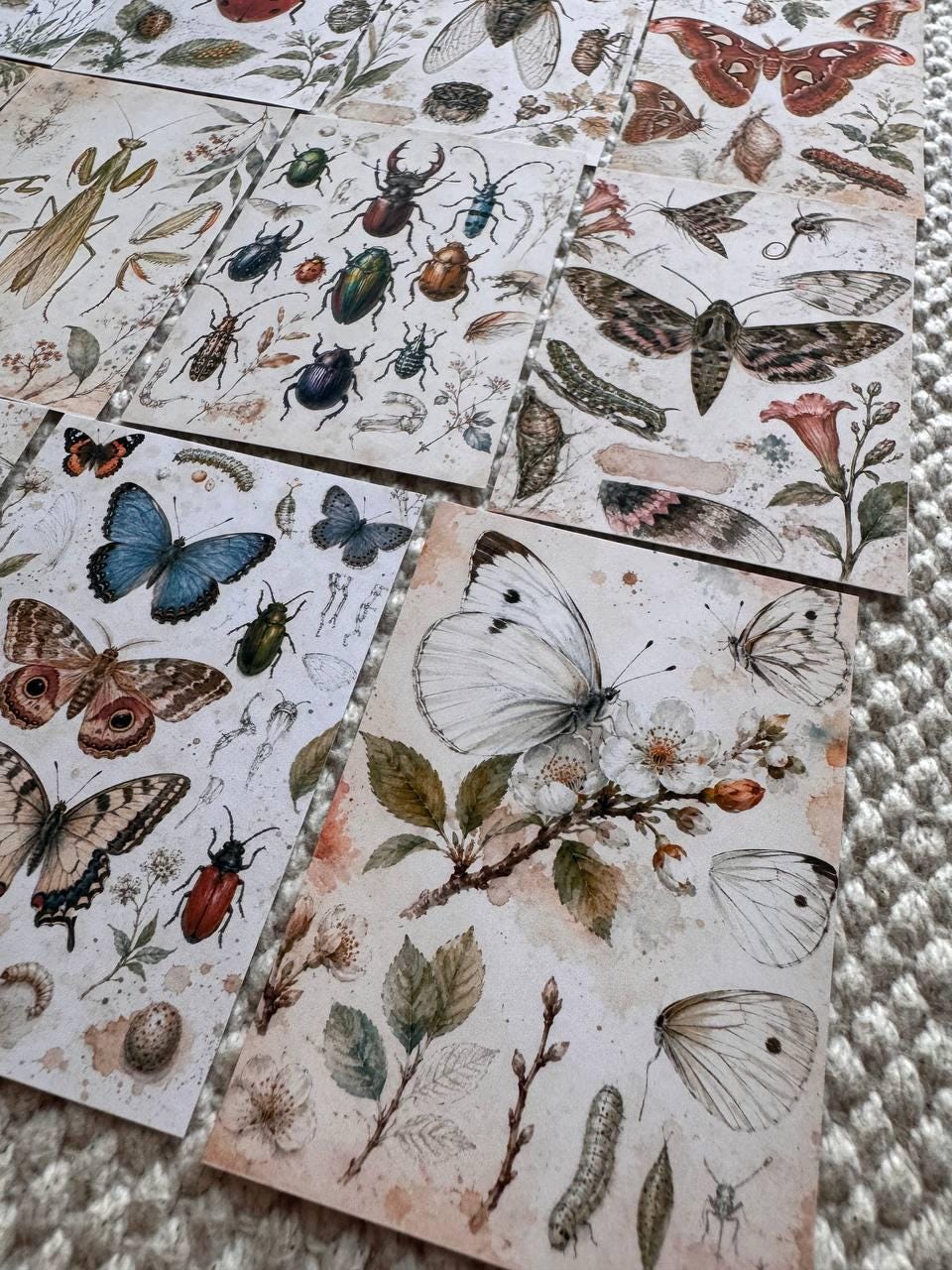 Vintage Entomology Stickers Set of 16, Butterfly & Insect Watercolor Stickers, Nature Junk Journal, Handmade in the UK Decor