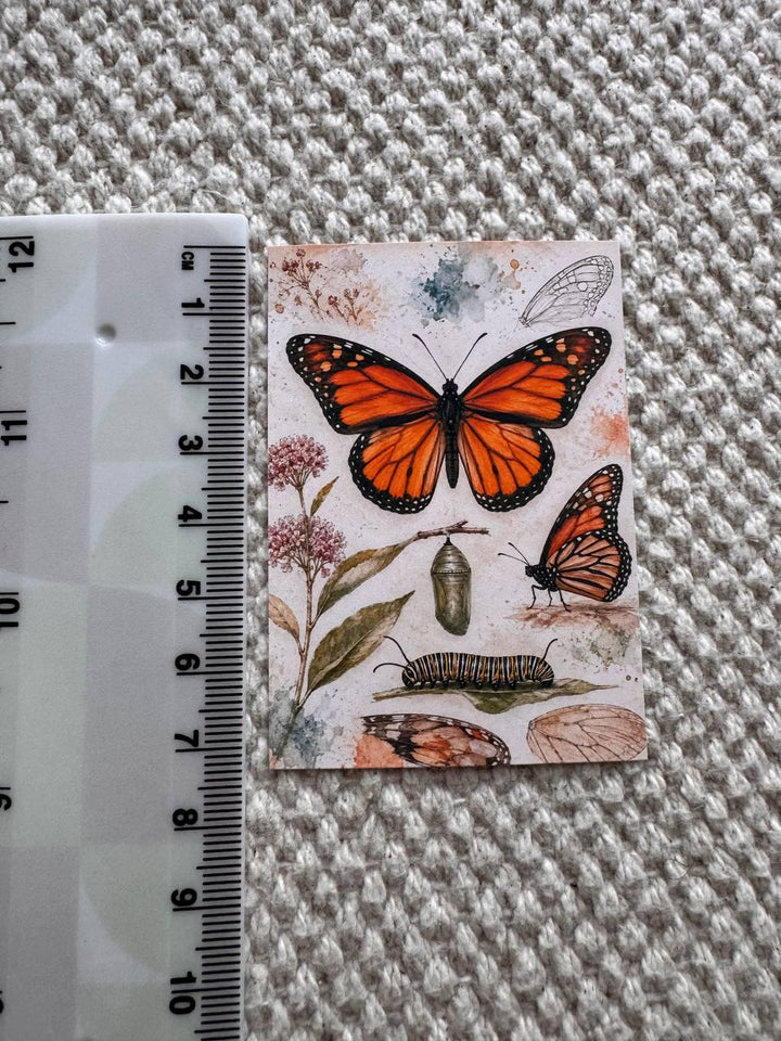 Vintage Entomology Stickers Set of 16, Butterfly & Insect Watercolor Stickers, Nature Junk Journal, Handmade in the UK Decor