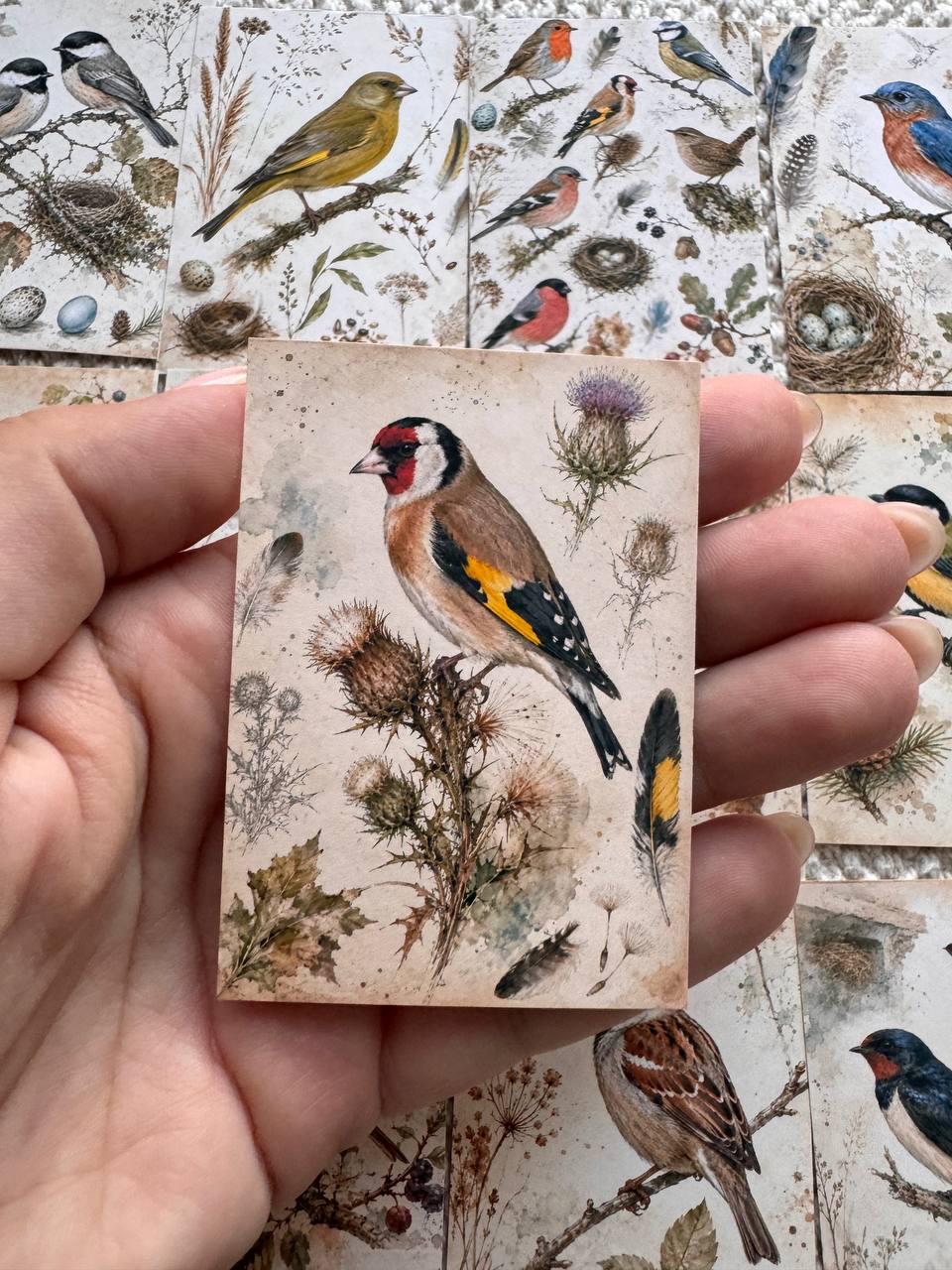 Vintage Bird Stickers Set of 16, British Garden Birds Watercolor Stickers, Nature Junk Journal, Handmade in the UK Decor Gift