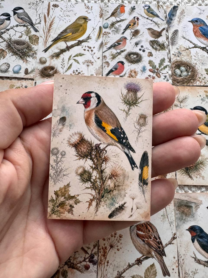 Vintage Bird Stickers Set of 16, British Garden Birds Watercolor Stickers, Nature Junk Journal, Handmade in the UK Decor Gift