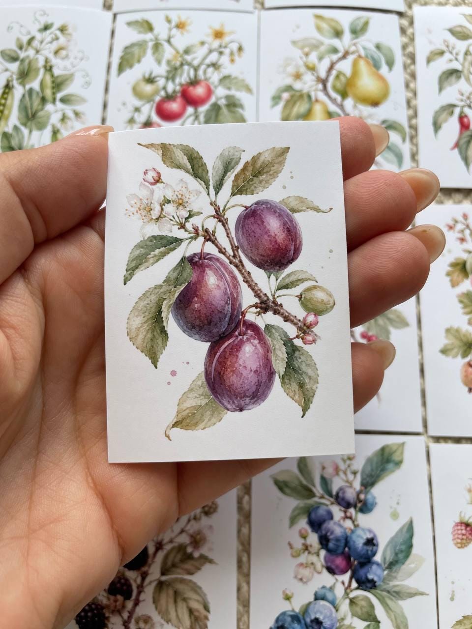 16 Botanical Fruit & Berry Stickers, Watercolour Garden Stickers, Vintage Fruit Journal Scrapbook Planner Craft Stickers, 5x7cm