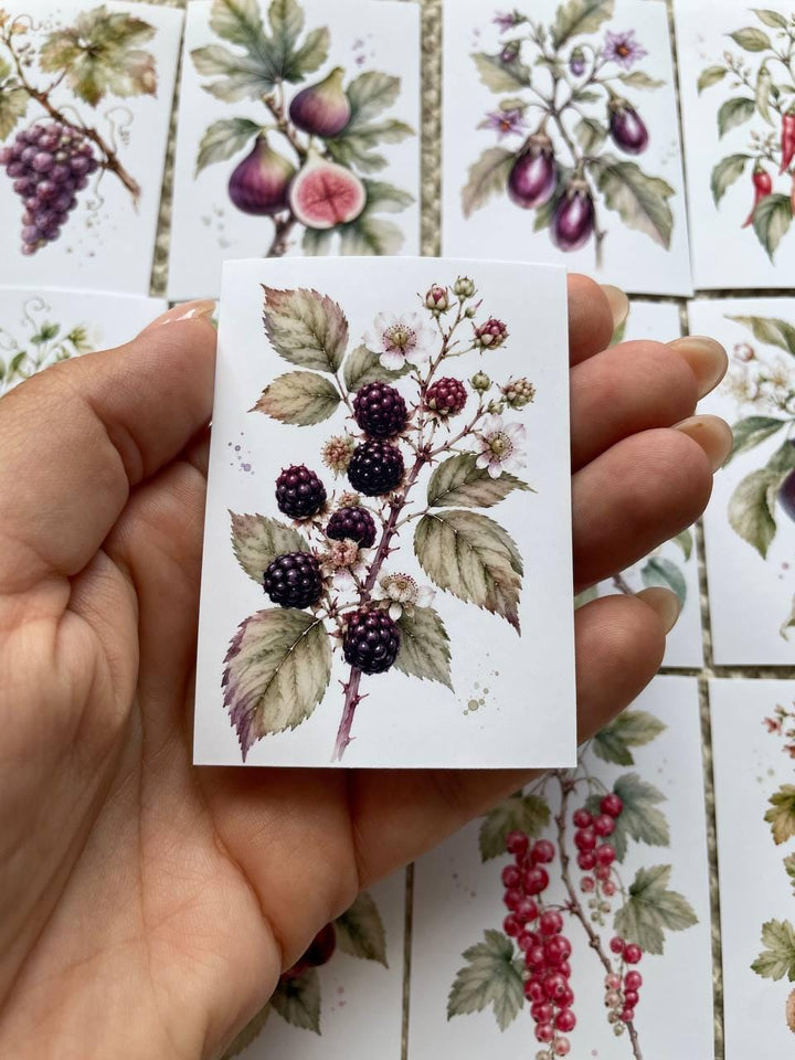 16 Botanical Fruit & Berry Stickers, Watercolour Garden Stickers, Vintage Fruit Journal Scrapbook Planner Craft Stickers, 5x7cm