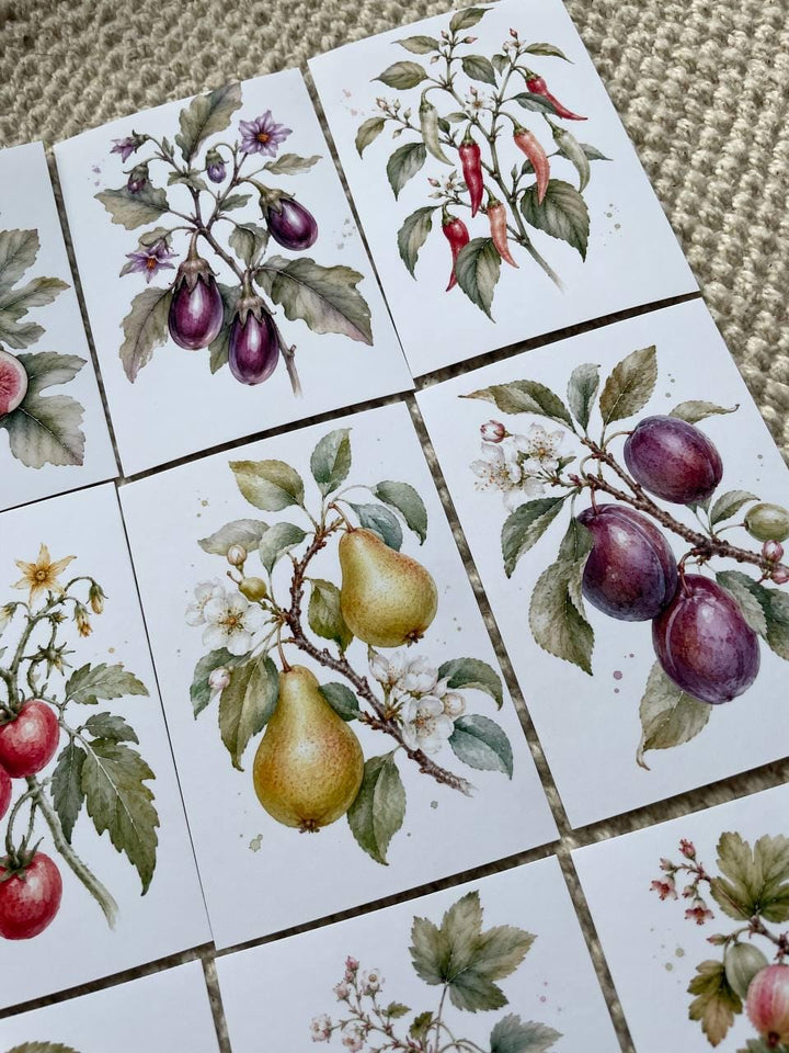 16 Botanical Fruit & Berry Stickers, Watercolour Garden Stickers, Vintage Fruit Journal Scrapbook Planner Craft Stickers, 5x7cm