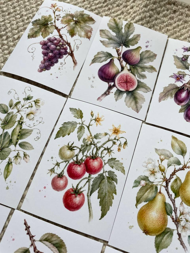 16 Botanical Fruit & Berry Stickers, Watercolour Garden Stickers, Vintage Fruit Journal Scrapbook Planner Craft Stickers, 5x7cm