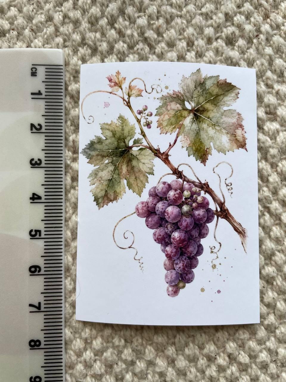 16 Botanical Fruit & Berry Stickers, Watercolour Garden Stickers, Vintage Fruit Journal Scrapbook Planner Craft Stickers, 5x7cm