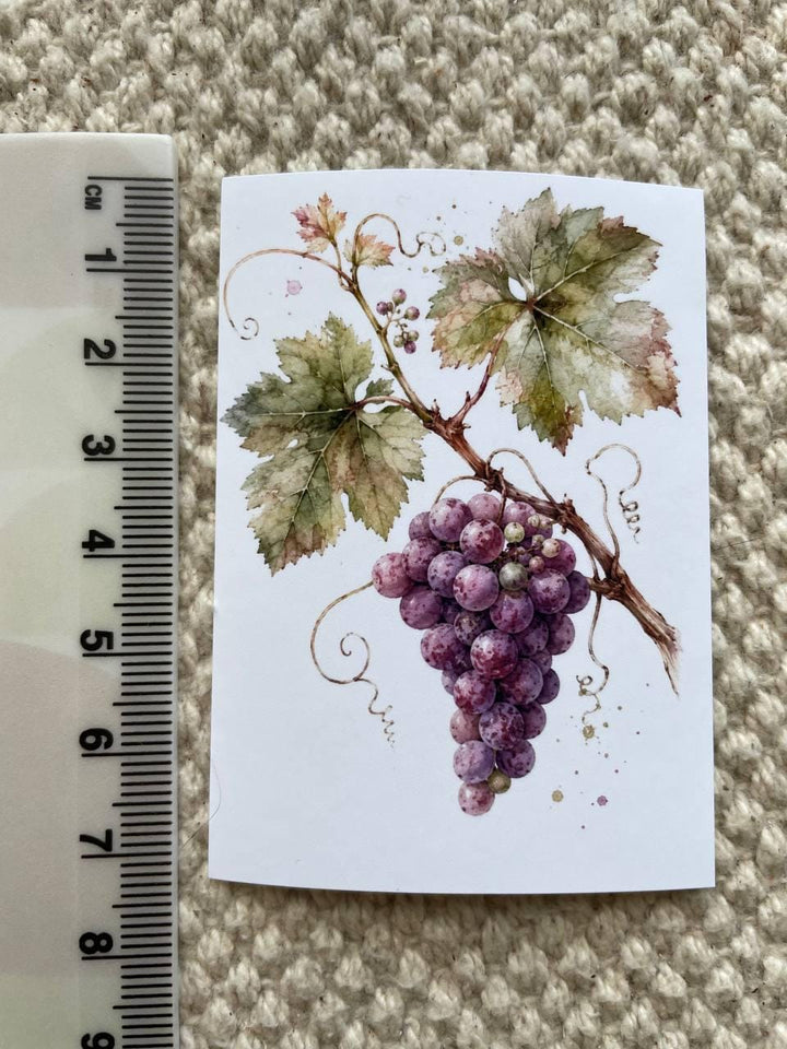 16 Botanical Fruit & Berry Stickers, Watercolour Garden Stickers, Vintage Fruit Journal Scrapbook Planner Craft Stickers, 5x7cm