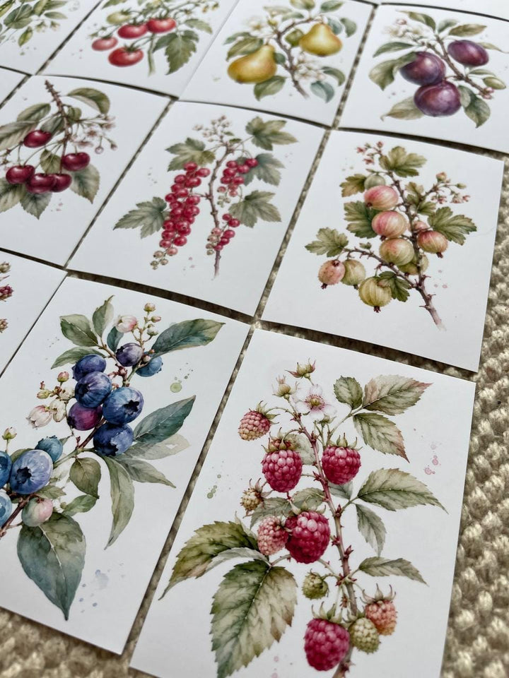 16 Botanical Fruit & Berry Stickers, Watercolour Garden Stickers, Vintage Fruit Journal Scrapbook Planner Craft Stickers, 5x7cm