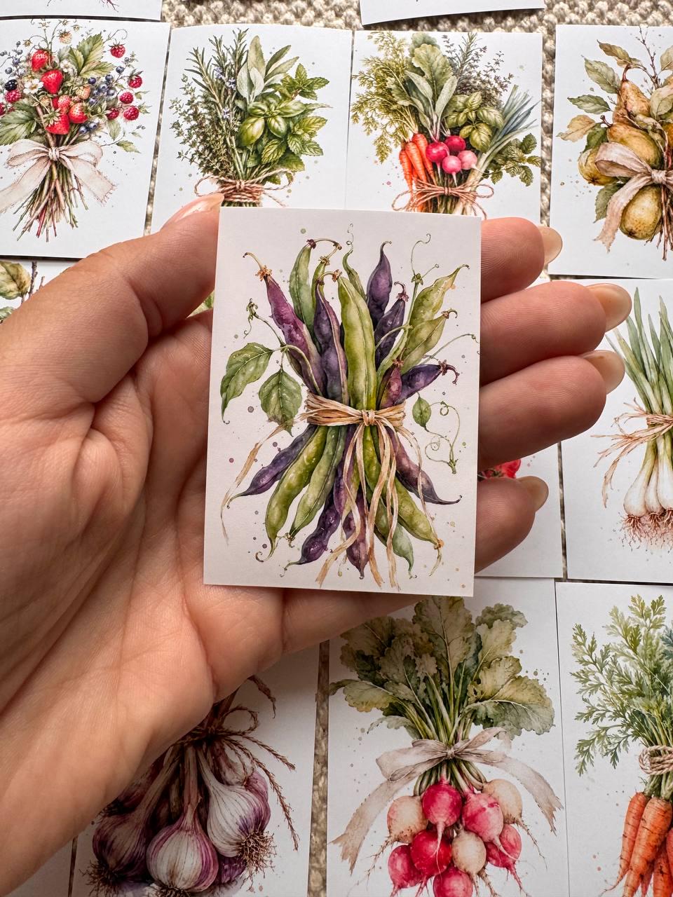 16 Vegetable & Herb Stickers, Botanical Garden Stickers, Watercolour Veggie Stickers, Junk Journal Scrapbook Planner Craft Supplies