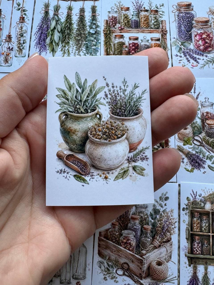 16 Botanical Herb Stickers, Lavender Apothecary Watercolor Stickers, Cottagecore Junk Journal Scrapbook Planner Botanical Decor