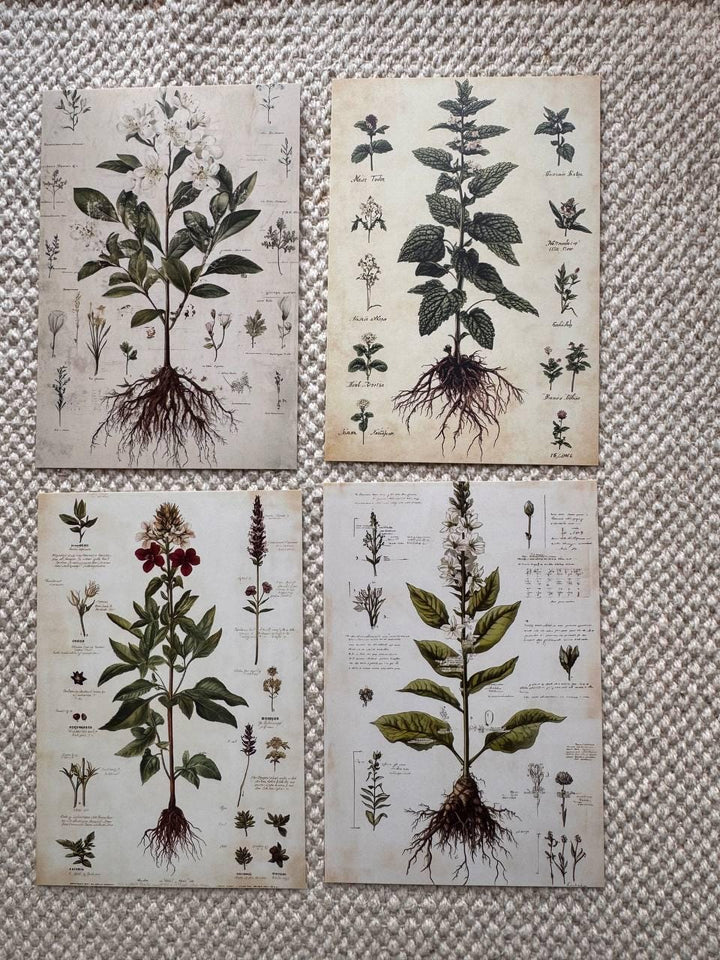 Set of 20, Vintage Botanical Postcard , Botanical Ephemera Cards, Junk Journal Supplies, Nature Collage Cards