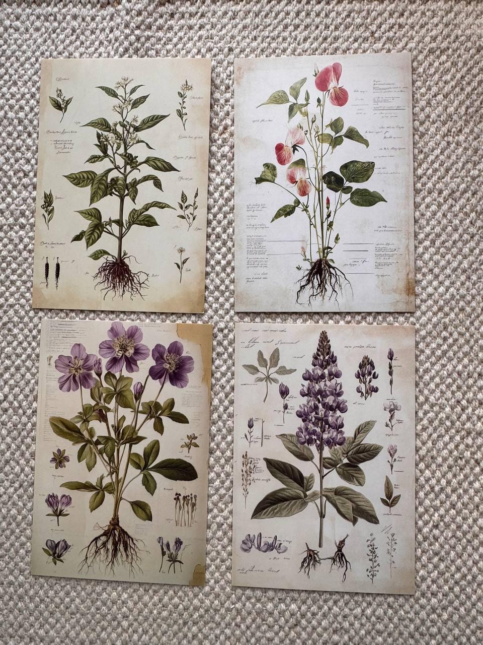 Set of 20, Vintage Botanical Postcard , Botanical Ephemera Cards, Junk Journal Supplies, Nature Collage Cards
