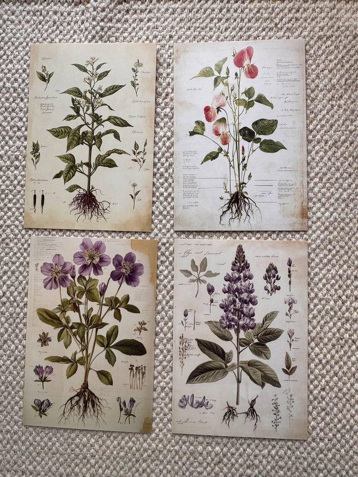 Set of 20, Vintage Botanical Postcard , Botanical Ephemera Cards, Junk Journal Supplies, Nature Collage Cards