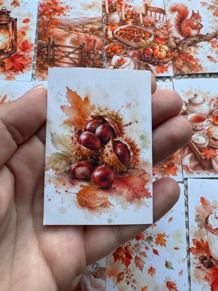 16 Autumn Watercolor Stickers, Cozy Fall Journal Stickers, Cottagecore Scrapbook Stickers, Harvest Planner Stickers UK Set