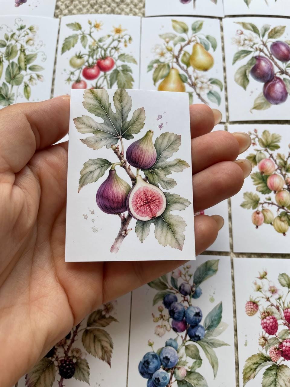 16 Botanical Fruit & Berry Stickers, Watercolour Garden Stickers, Vintage Fruit Journal Scrapbook Planner Craft Stickers, 5x7cm