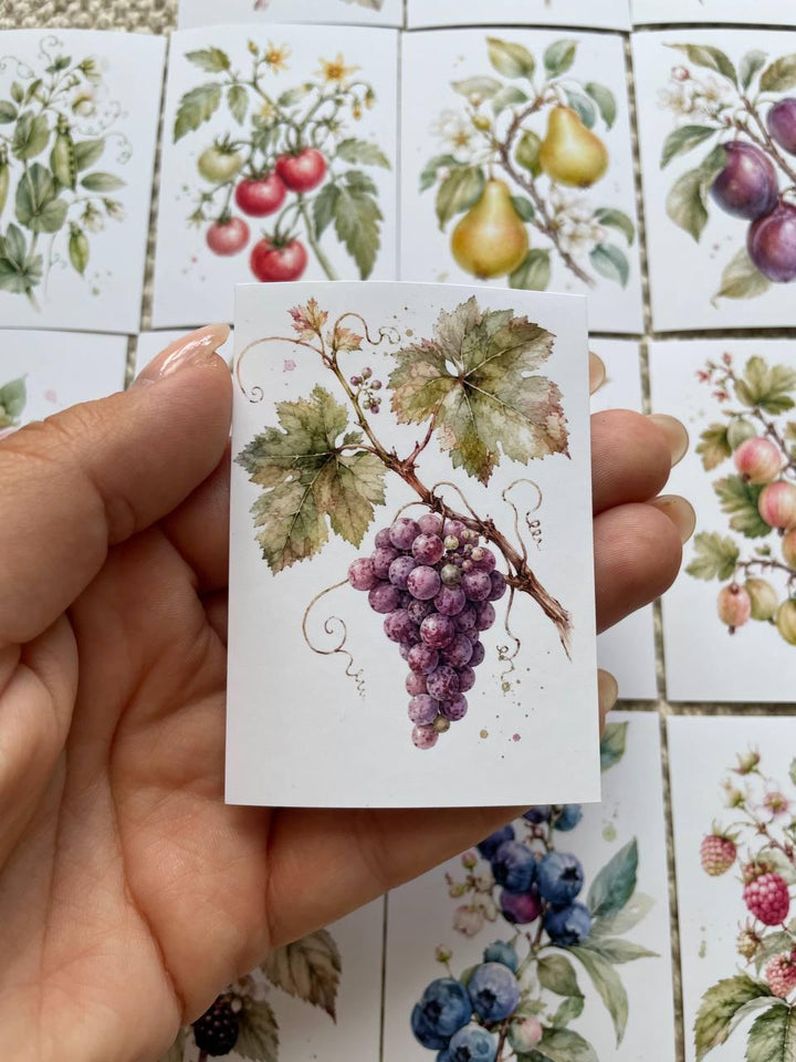 16 Botanical Fruit & Berry Stickers, Watercolour Garden Stickers, Vintage Fruit Journal Scrapbook Planner Craft Stickers, 5x7cm