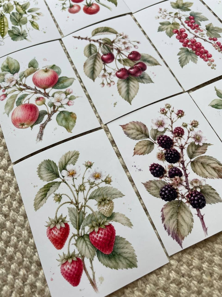 16 Botanical Fruit & Berry Stickers, Watercolour Garden Stickers, Vintage Fruit Journal Scrapbook Planner Craft Stickers, 5x7cm