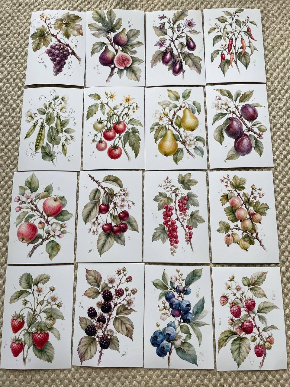 16 Botanical Fruit & Berry Stickers, Watercolour Garden Stickers, Vintage Fruit Journal Scrapbook Planner Craft Stickers, 5x7cm