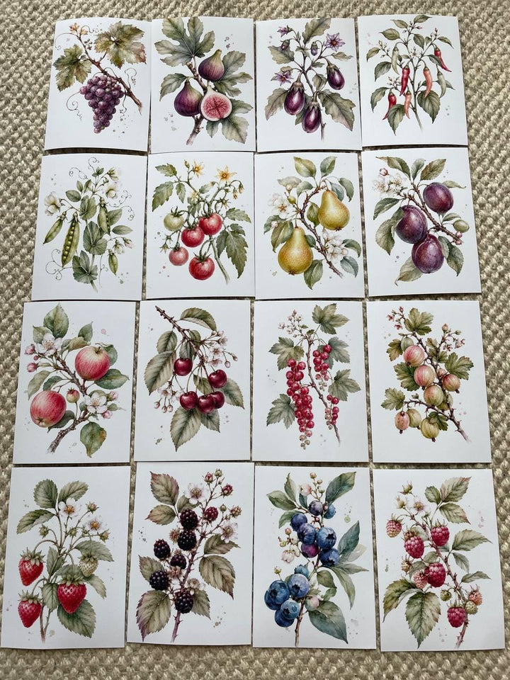 16 Botanical Fruit & Berry Stickers, Watercolour Garden Stickers, Vintage Fruit Journal Scrapbook Planner Craft Stickers, 5x7cm