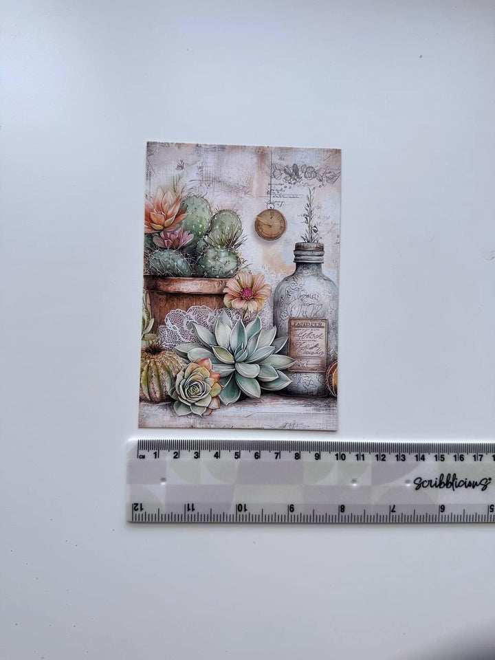 Set of 20 Succulent & Cactus Postcards, Vintage Botanical Cards, Junk Journal Ephemera, Scrapbooking Supplies, Cottagecore Paper Cards