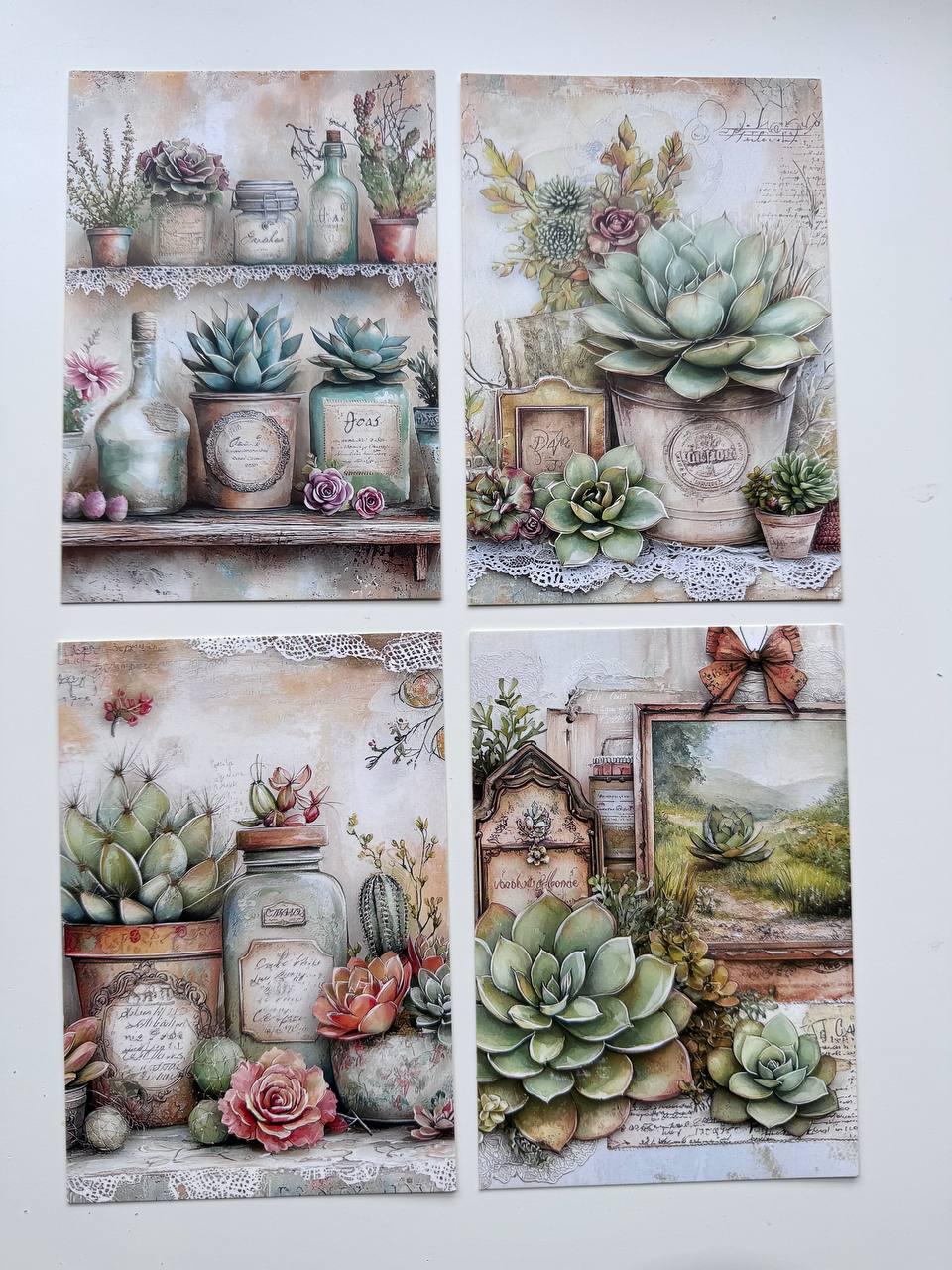 Set of 20 Succulent & Cactus Postcards, Vintage Botanical Cards, Junk Journal Ephemera, Scrapbooking Supplies, Cottagecore Paper Cards