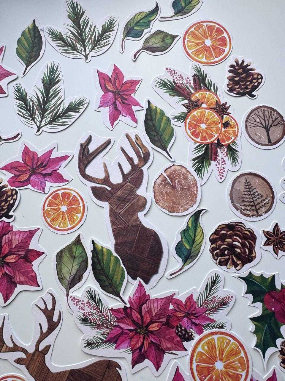 61 Christmas Die Cuts, Winter Botanical Ephemera, Poinsettia & Deer Cardstock Pieces, NOT Stickers, No Adhesive, Junk Journal