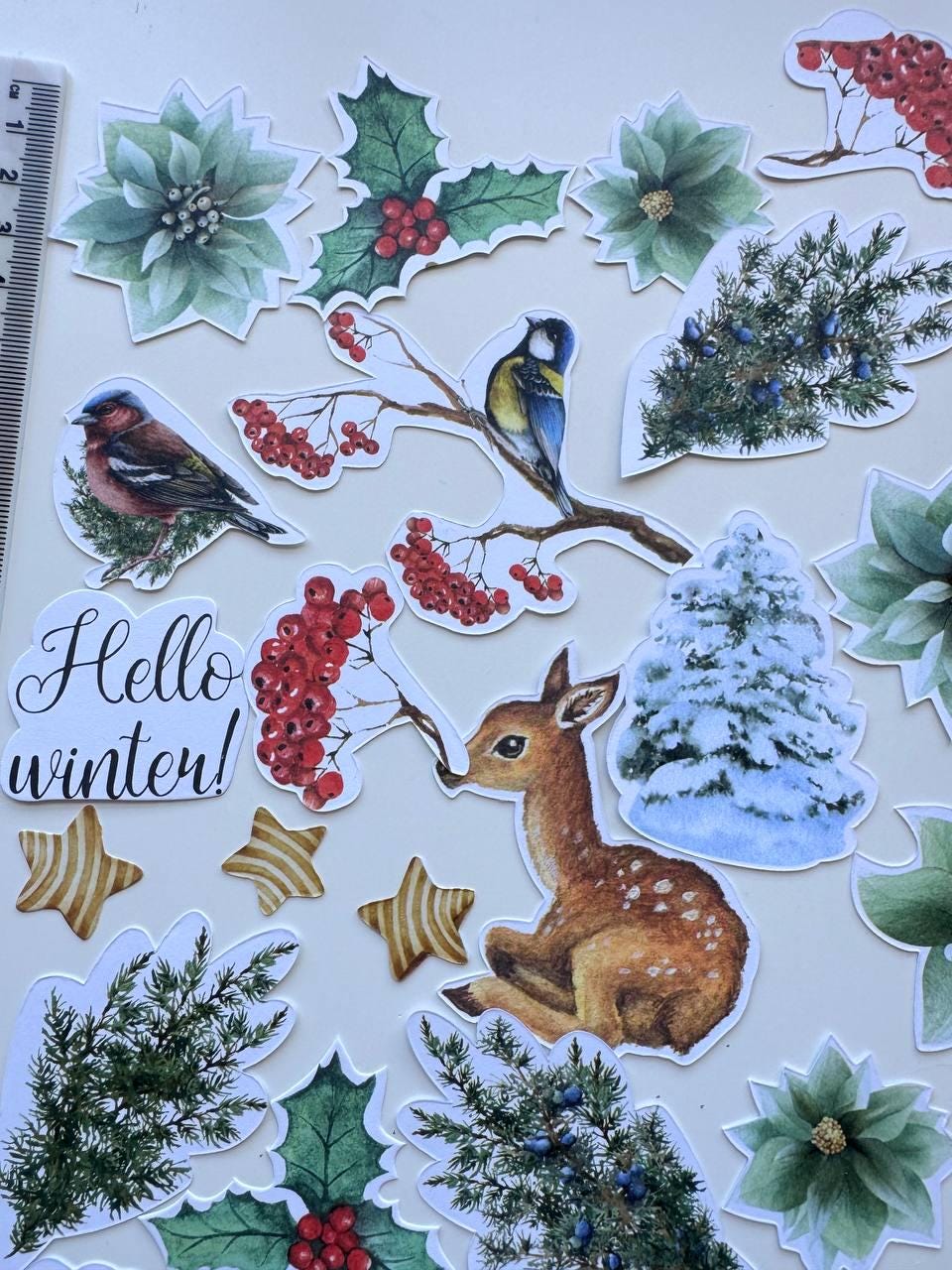 52 Winter Die Cuts, Country Winter Ephemera, Deer Rabbit Birds & Botanical Cardstock Pieces, NOT Stickers, No Adhesive