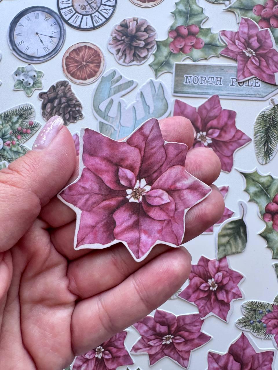 61 Winter Die Cuts, Winter Wonders Christmas Ephemera, Deer Poinsettia Pinecones, NOT Stickers, No Adhesive Cardstock Pieces