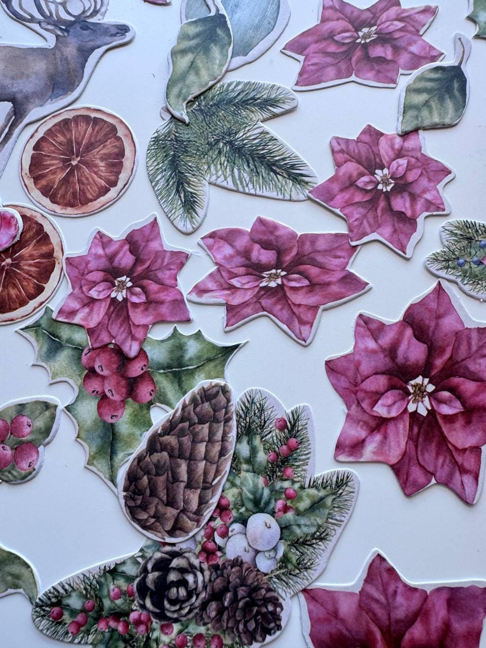 61 Winter Die Cuts, Winter Wonders Christmas Ephemera, Deer Poinsettia Pinecones, NOT Stickers, No Adhesive Cardstock Pieces