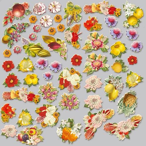 54 Exotic Fruit & Flower Die Cuts, Tropical Botanical Ephemera, NOT Stickers, No Adhesive, Junk Journal Scrapbook Supplies