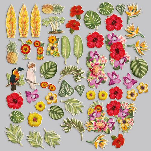 54 Exotic Flower Die Cuts, Tropical Botanical Ephemera, Hibiscus Flowers, NOT Stickers, No Adhesive, Junk Journal Supplies