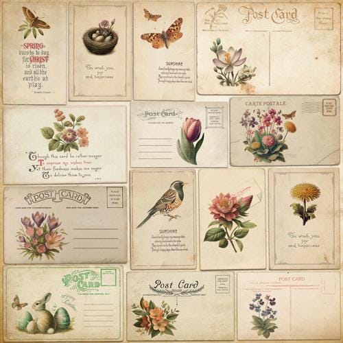 Spring Botanical Story Scrapbook Paper 8x8, 10 Double Sided Sheets, Floral Vintage Paper, Junk Journal Supplies