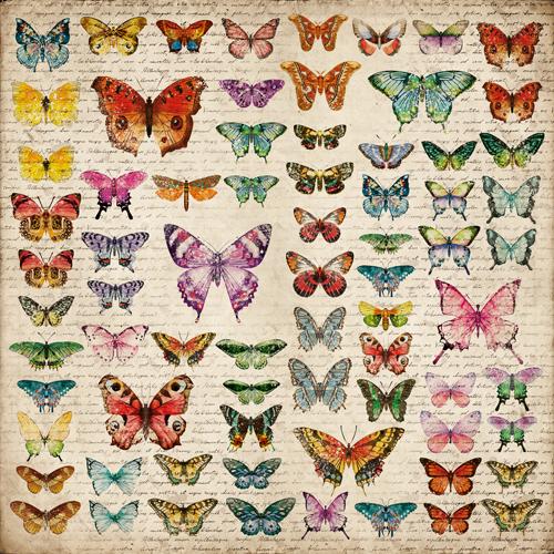 Spring Botanical Story Scrapbook Paper 8x8, 10 Double Sided Sheets, Floral Vintage Paper, Junk Journal Supplies